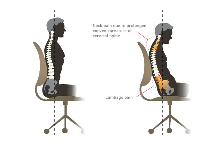 lumbar support